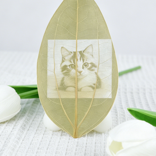 Advantages of UV Laser Engraver